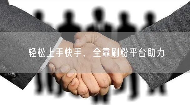 轻松上手快手，全靠刷粉平台助力