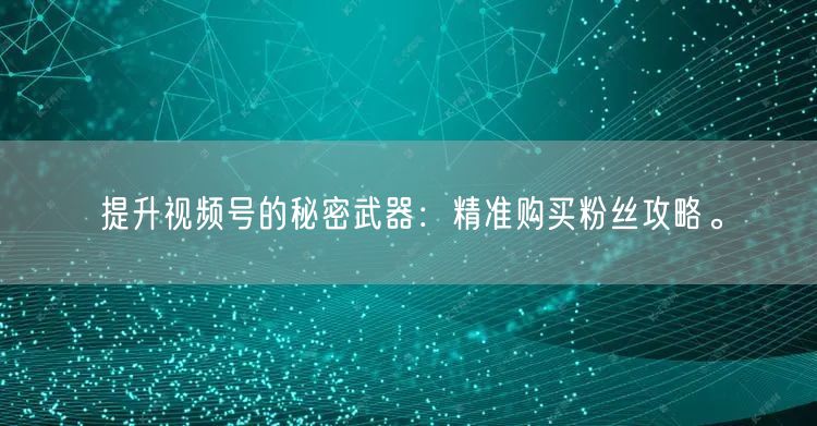 提升视频号的秘密武器：精准购买粉丝攻略。