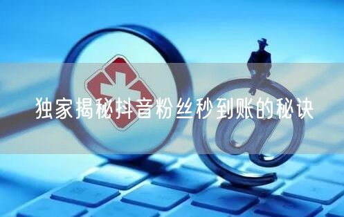 独家揭秘抖音粉丝秒到账的秘诀