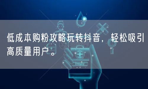 低成本购粉攻略玩转抖音，轻松吸引高质量用户。